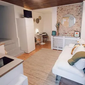 13 Loft Mit Terrasse Apartment
